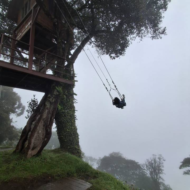 Traveler swings high from a treehouse platform into thick mist above the forest.
