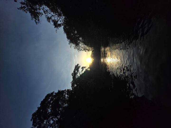 Sun sets beyond dense Amazonian trees casting golden light over a reflective river.