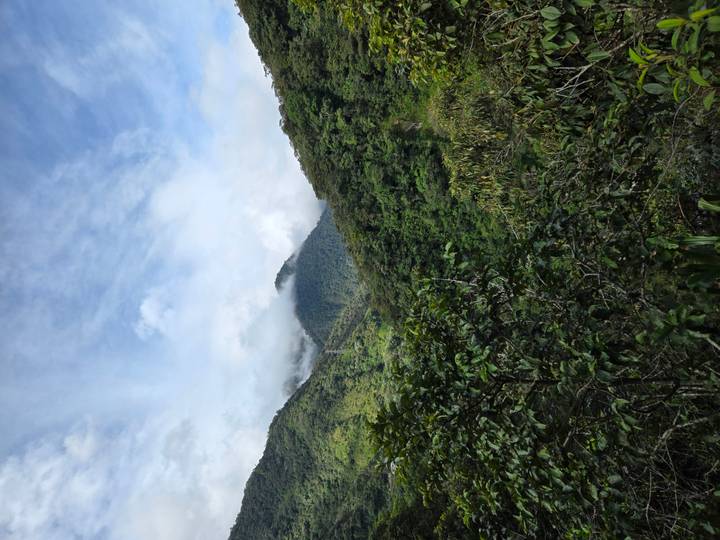 Cloud-shrouded green mountains and dense cloud forest in the Mindo valley.