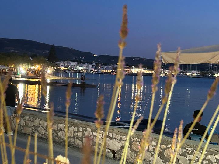 Evening harbor scene with reflections of town lights on the water, viewed through blurred grasses in the foreground.