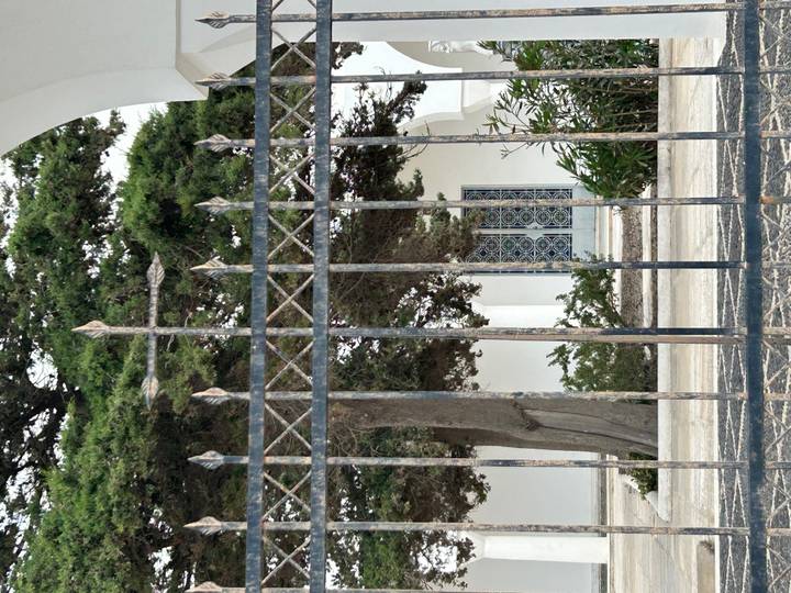 Ornate iron gate with a large tree and decorative doorway of a white chapel behind.