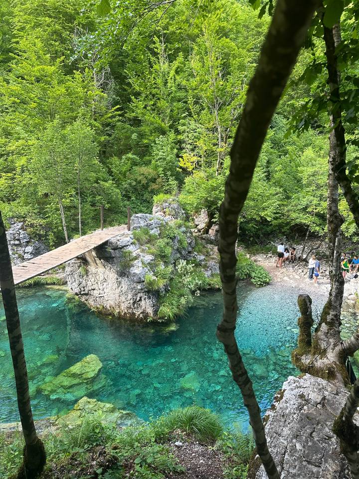Hikers cross a narrow wooden bridge over crystal-clear turquoise pool amid lush forest