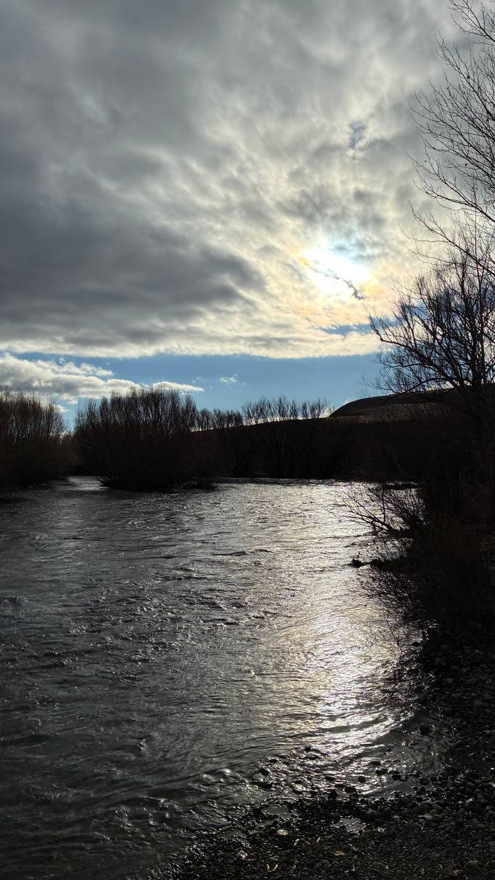 Silhouetted leafless trees along a fast-flowing river under partly cloudy sky.