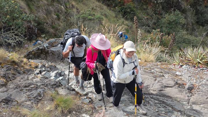 Three hikers using trekking poles ascend a rocky Inca Trail section through highland vegetation.