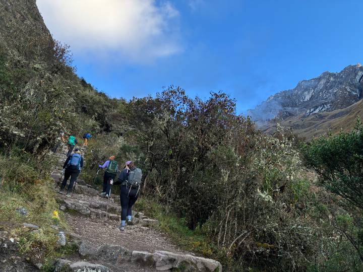 Trekkers climbing a stone path through dense Andean shrublands toward a misty mountain pass.