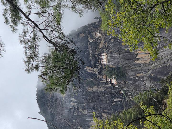 Misty cliff face with the famous cliff-side monastery barely visible through pine branches in the foreground.