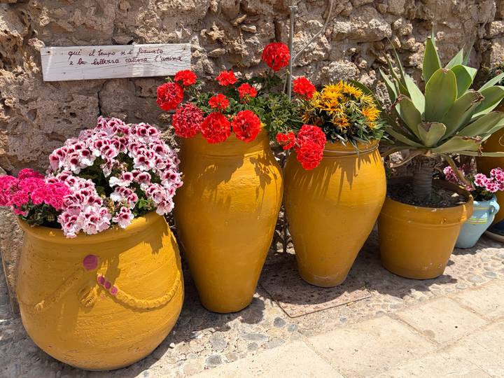 Row of large mustard-yellow terracotta pots filled with bright geraniums and succulents against a stone wall