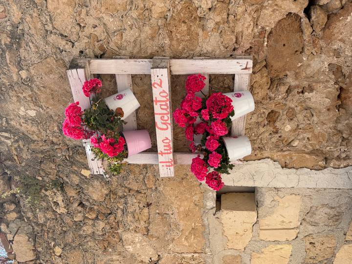 Pink geraniums in hanging white pots on a rustic wooden frame mounted to a stone wall with Italian text
