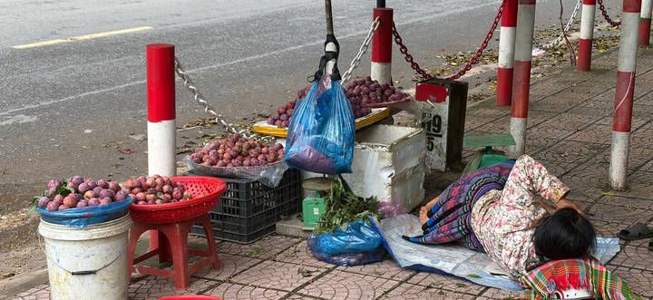Street vendor rests beside baskets filled with purple passion fruits along a sidewalk market