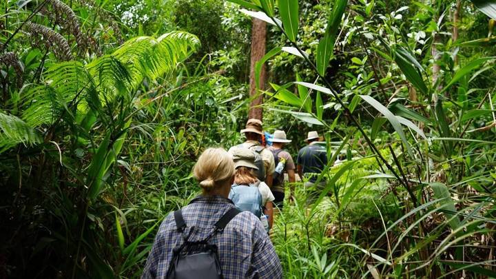 Small group trekking single file along a narrow jungle trail surrounded by lush green foliage