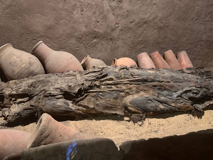 Ancient wooden remains and pottery jars showcased in an archaeological display