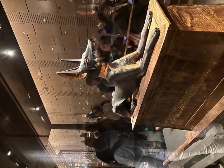 Elegant black Anubis jackal statue resting atop a wooden shrine inside museum exhibit