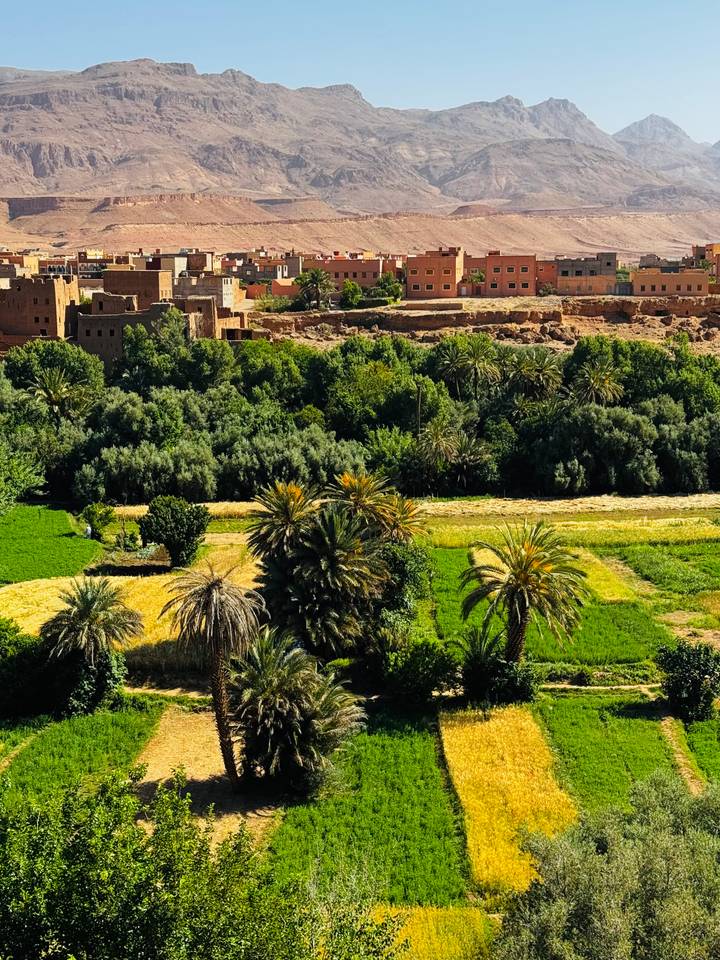 Lush oasis valley with dense palm groves and terraced fields bordered by adobe villages.