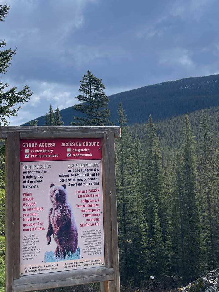A bear safety information sign stands at the edge of a dense evergreen forest with rugged mountains in the background under a cloudy sky.