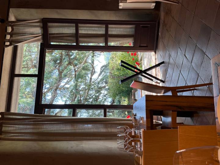 Sun-lit interior of a rustic restaurant opens onto a garden terrace framed by tall trees.