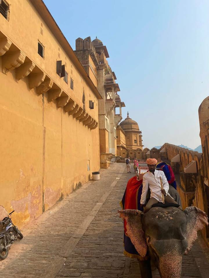 Man in traditional turban leading decorated animal along yellow sandstone palace wall