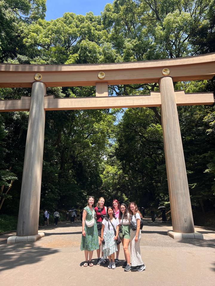 Massive wooden torii gate towers over a shaded forest path in a tranquil shrine setting.