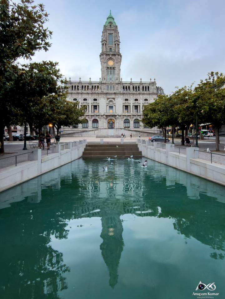 Reflecting pool with pigeons leading to an ornate historic building in Porto.
