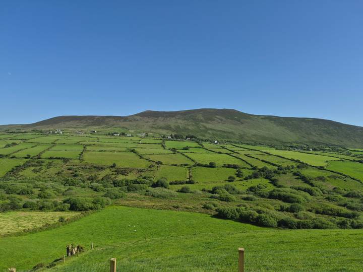 Patchwork of vibrant green Irish fields backed by a gentle mountain ridge under blue sky.