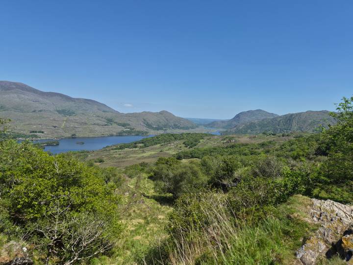 Scenic vista of lakes and forested mountains within rugged Irish countryside.