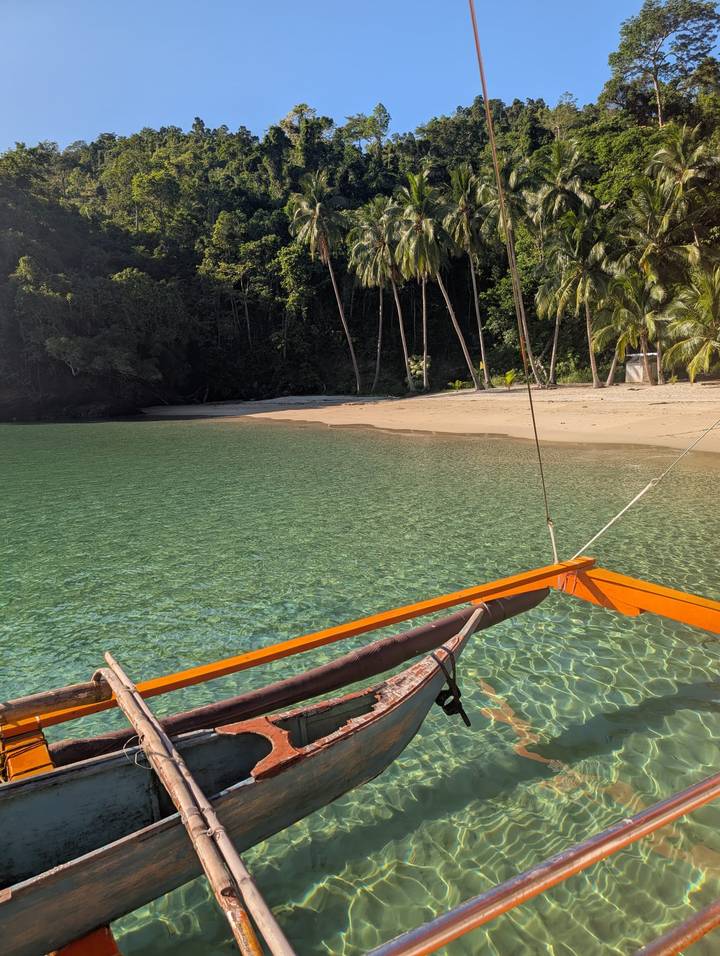 Shallow crystal-clear lagoon beside empty sandy beach backed by tall palm trees.
