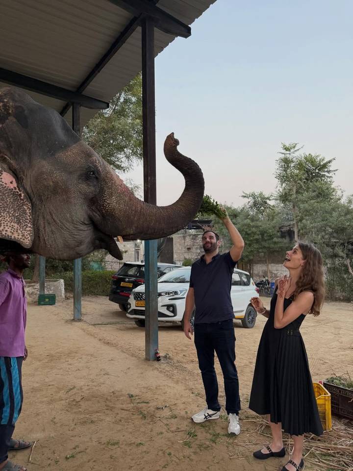 Tourists feeding a friendly elephant at an interaction center near Jaipur.