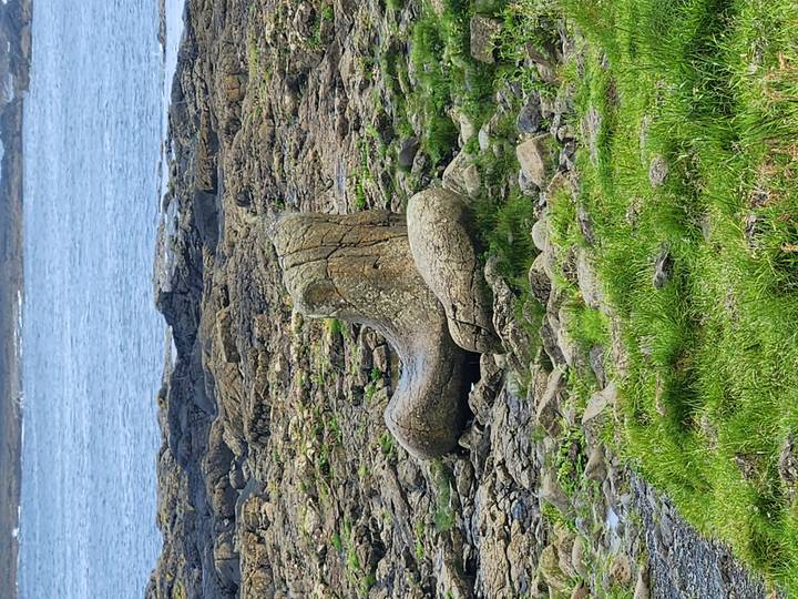 Unusual boot-shaped basalt rock among tidal pools near the Giant’s Causeway.