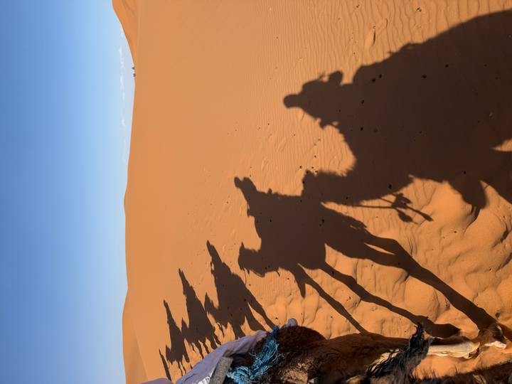 Long shadows of camel riders stretch across smooth orange desert sand under clear blue sky.