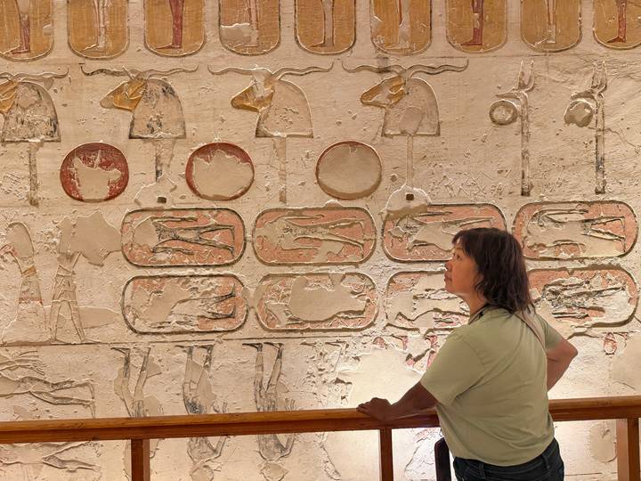 Visitor observes detailed sunken reliefs and cartouches on an ancient Egyptian wall.