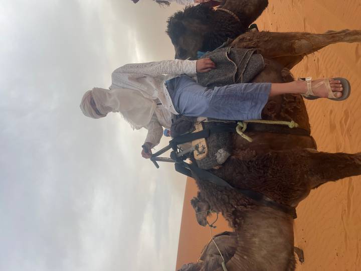 Traveler wearing a turban and veil sits atop a camel in the desert.