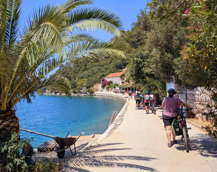 Cyclists follow a coastal path beside turquoise water and blooming bougainvillea.