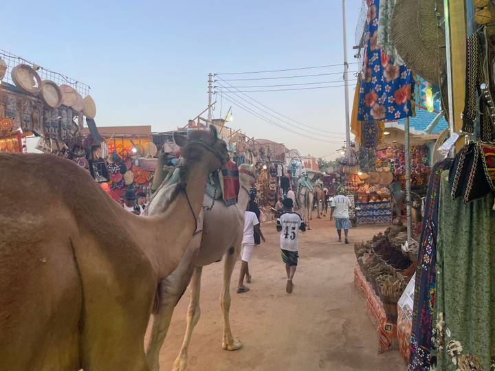 Bustling souk alley lined with colorful textiles and souvenirs while camels move through the crowd at dusk.