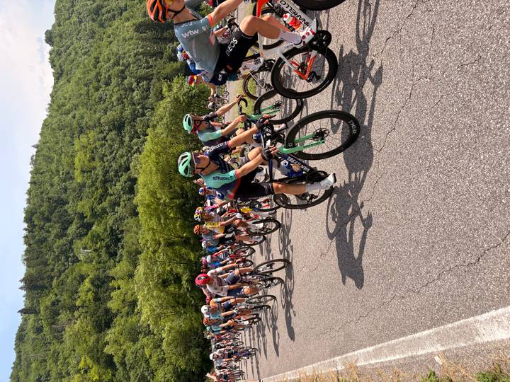 Peloton of professional cyclists racing through forested valley road