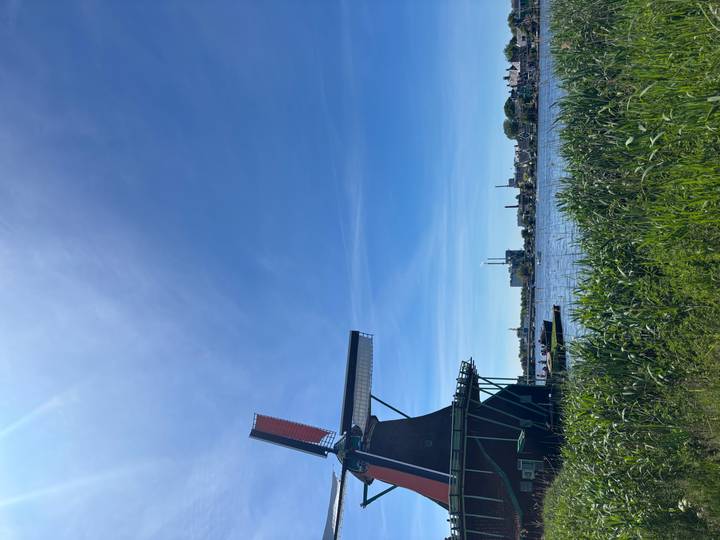 Classic Dutch windmill beside a calm river with bright blue sky and green reeds in the foreground.