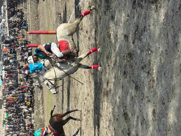 Horse and rider in mid-action during an outdoor polo match with spectators in the background.