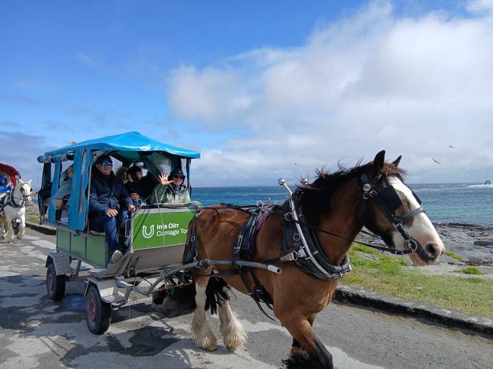 Horse-drawn covered wagon carrying tourists along a seaside road with blue ocean backdrop.