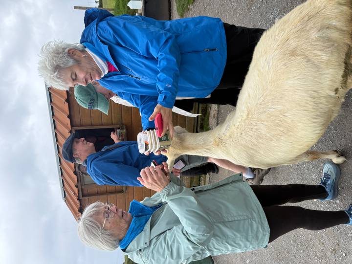 Travellers feed a friendly goat from a cup at a small farm stand under grey skies.