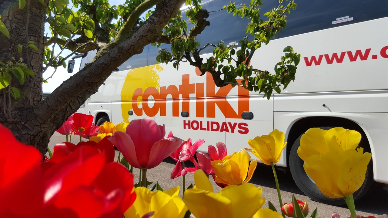 Gros plan d'un bus touristique avec des tulipes colorées à l'avant.