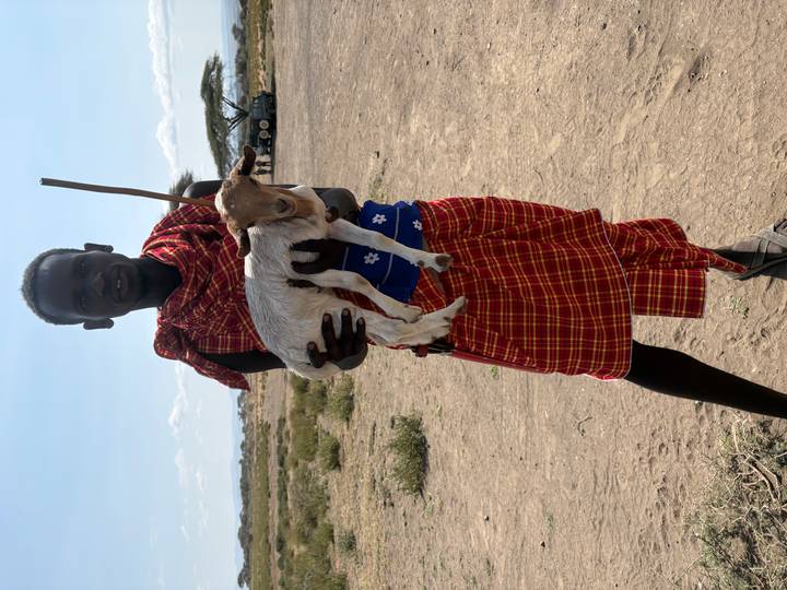 Maasai herder holding a small goat in an open dusty plain