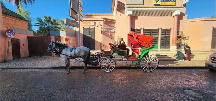 Traditional green horse-drawn carriage with passengers moves along a cobblestone street in Marrakesh’s medina.