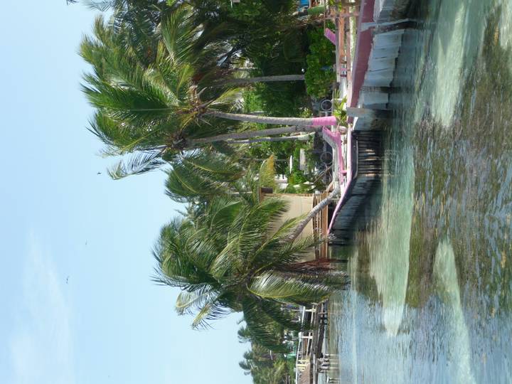 Swaying palm trees and a hammock line a tranquil waterfront on Caye Caulker.
