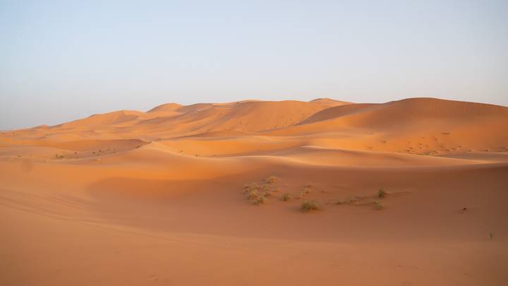Golden sand dunes of the Sahara gently rolling under soft early-morning light
