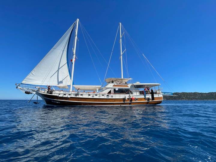 A traditional wooden sailing yacht with white sails glides on calm deep-blue water under a clear sky, with a low, forested coastline in the distance.