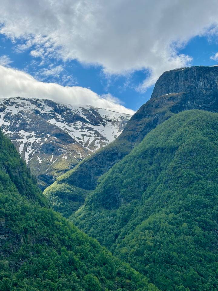 Dramatic fjord landscape with snow-patched peaks and lush green slopes meeting deep valley shadows