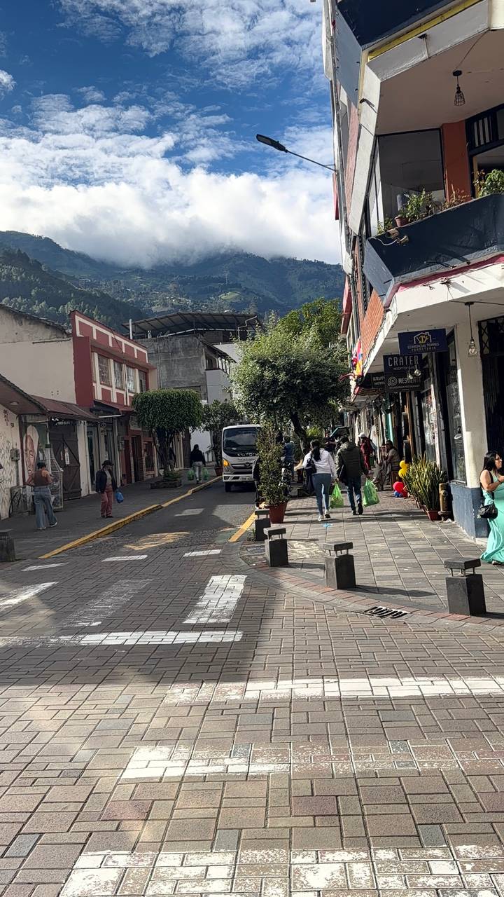 A narrow urban street lined with small shops and potted trees where locals carry green bags and vehicles drive through.