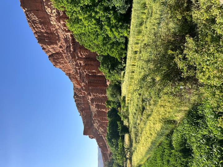 Red sandstone cliffs towering above green fields and shrubs under clear sky.