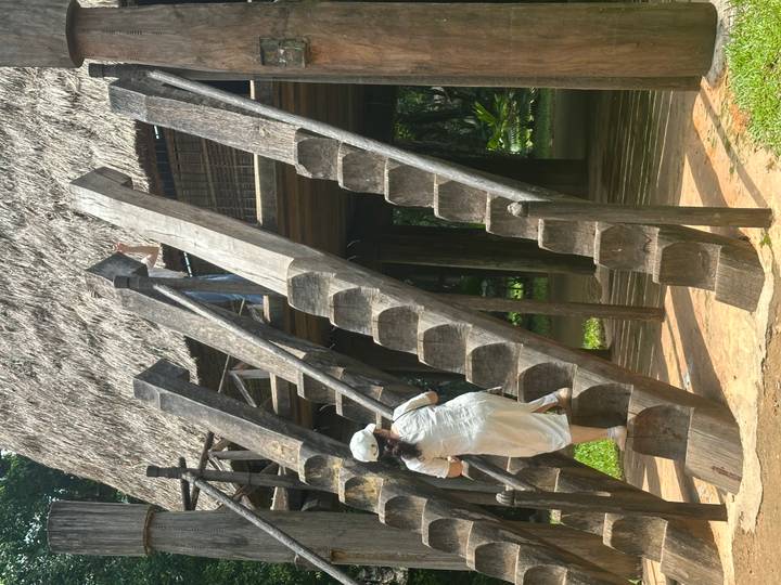 Visitors climb steep notched wooden ladders to a traditional stilt house with a thatched roof.