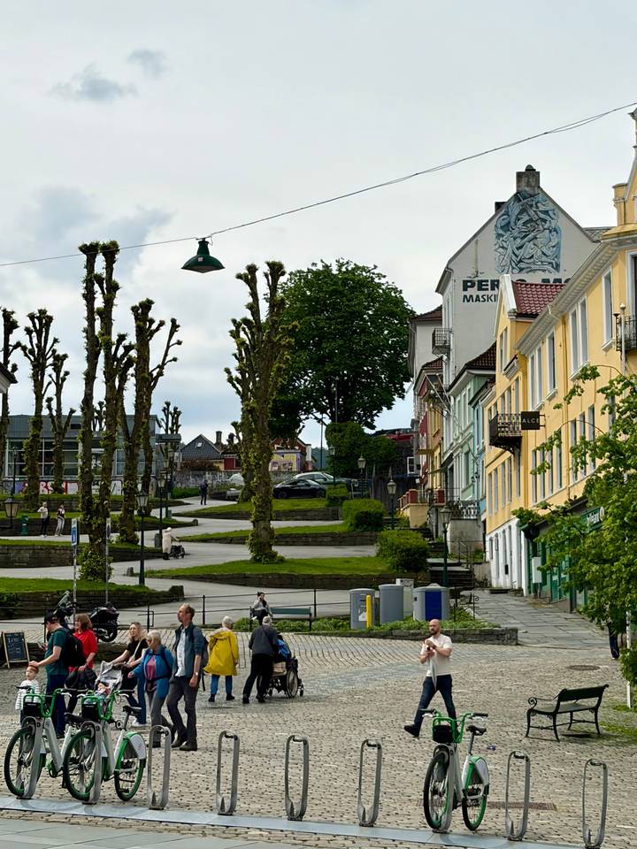 Street lined with colourful Norwegian houses and pollarded trees climbing a steep hill.