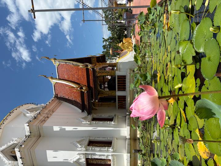 Pink lotus flower in focus with ornate Thai temple roof and blue sky in the background.