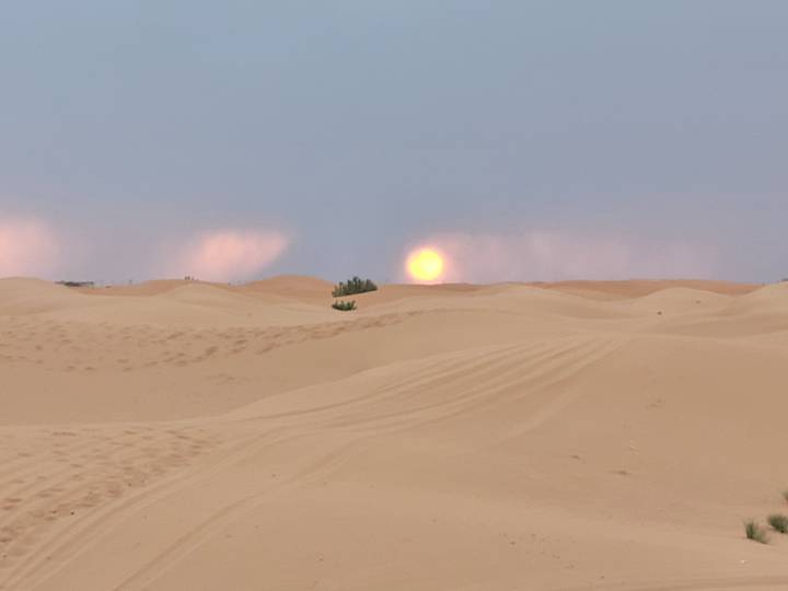 Soft orange sun setting over rolling Sahara sand dunes with faint tracks.